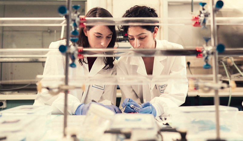 Writing down lab results