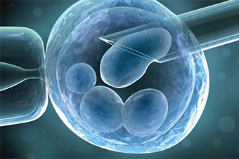 Research on Fertility Yields Unexpected Rewards