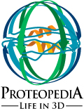 Protopedia Life in 3D