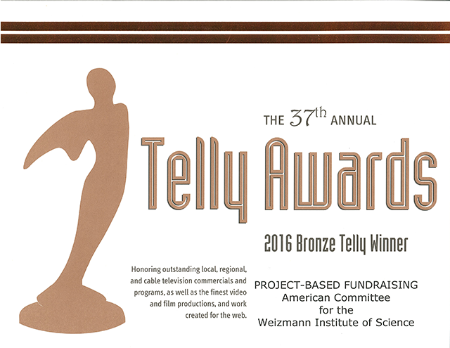 Bronze Telly Award 2016