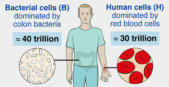 Germs, Humans, and Numbers