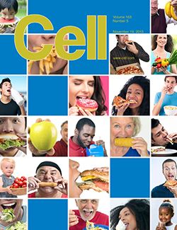 The research was featured on the cover of the journal Cell