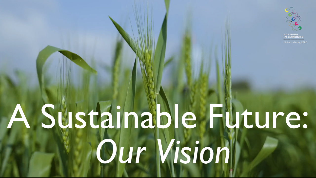 A Sustainable Future: Our Vision