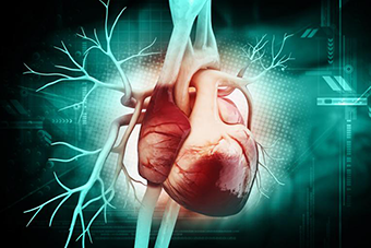 Heart Attack Patients May Regrow Cardiac Cells By 2020 Thanks To Breakthrough Discovery