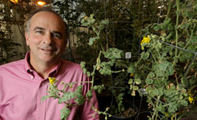 Scientists Urge New Approaches to Plant Research