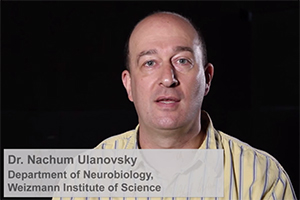 Prof. Nachum Ulanovsky: Using Bats to Light the Way