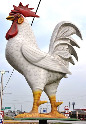 great-rooster.jpg