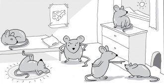Mouse cartoon