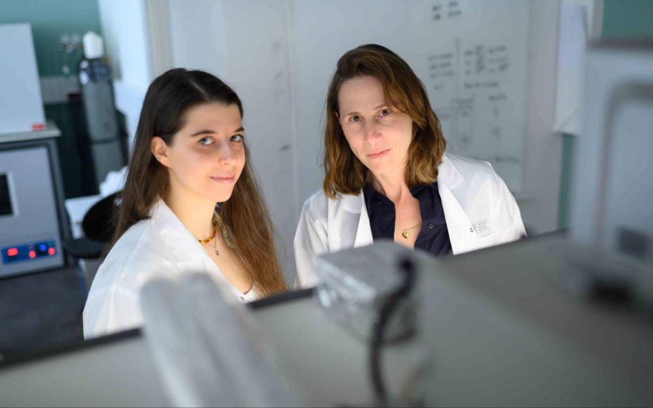 2025 08 ACWIS Enewsletter Header