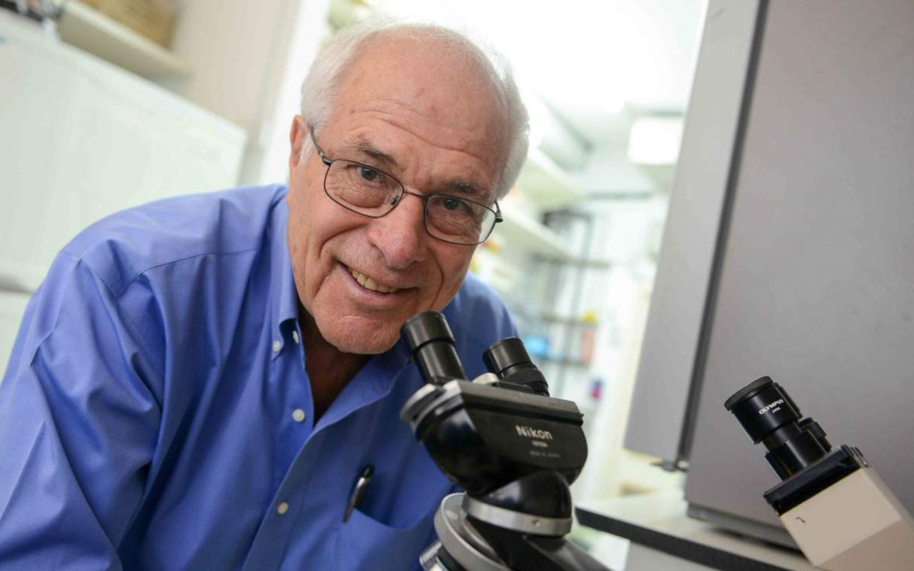 2026 03 ACWIS Enewsletter Header