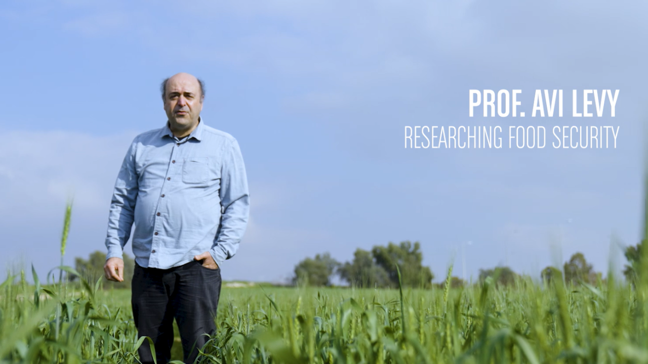 Prof. Avi Levi Studies How to Sustainably Improve Crops