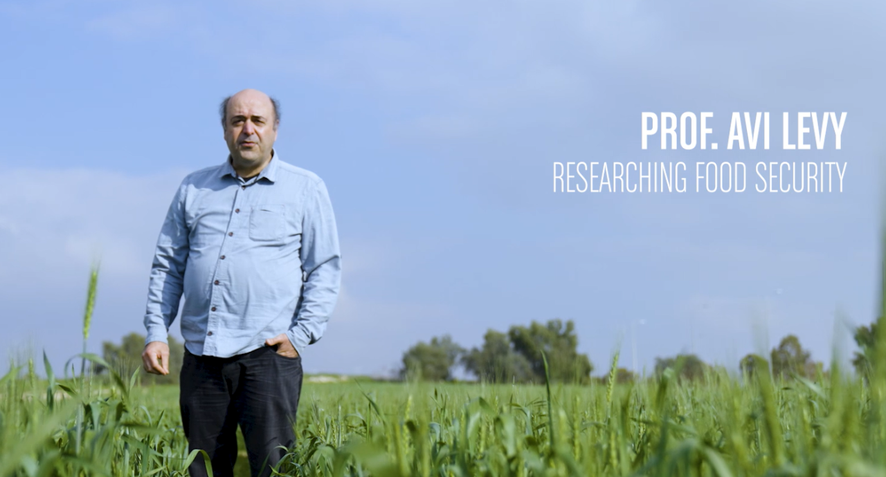 Prof. Avi Levi Studies How To Sustainably Improve Crops