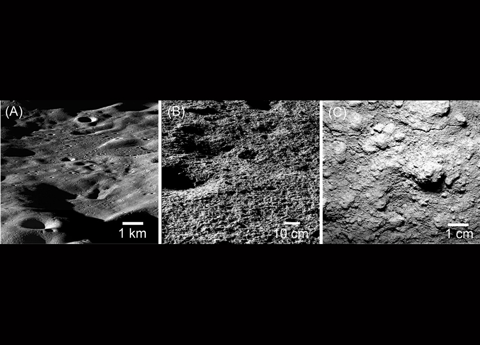 Small Water Ice Reservoirs Dot the Lunar Surface