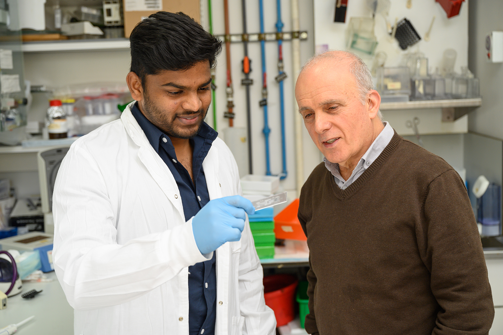 Novel Molecular Marker May Improve Prostate Cancer Treatment 1