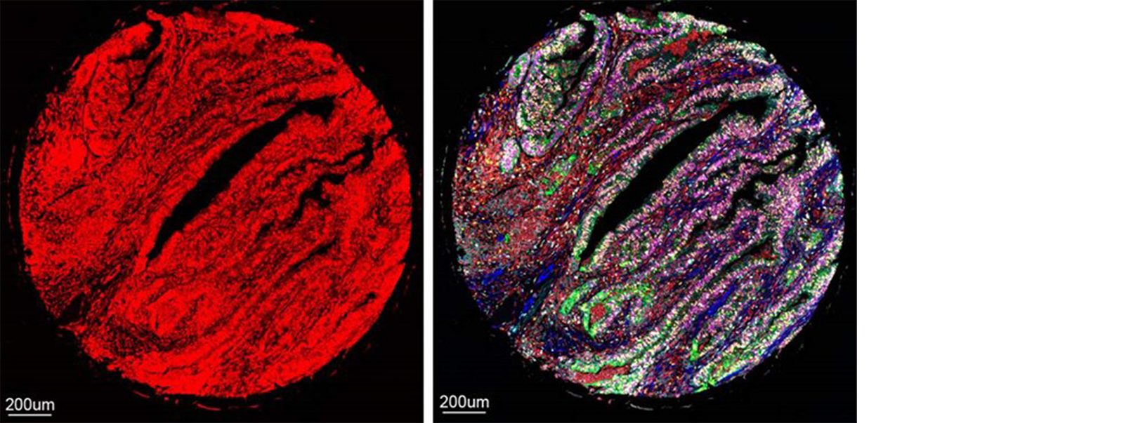 Looking Back On 2025 5