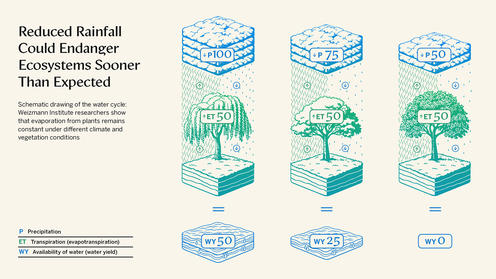 Between Flood And Drought 2