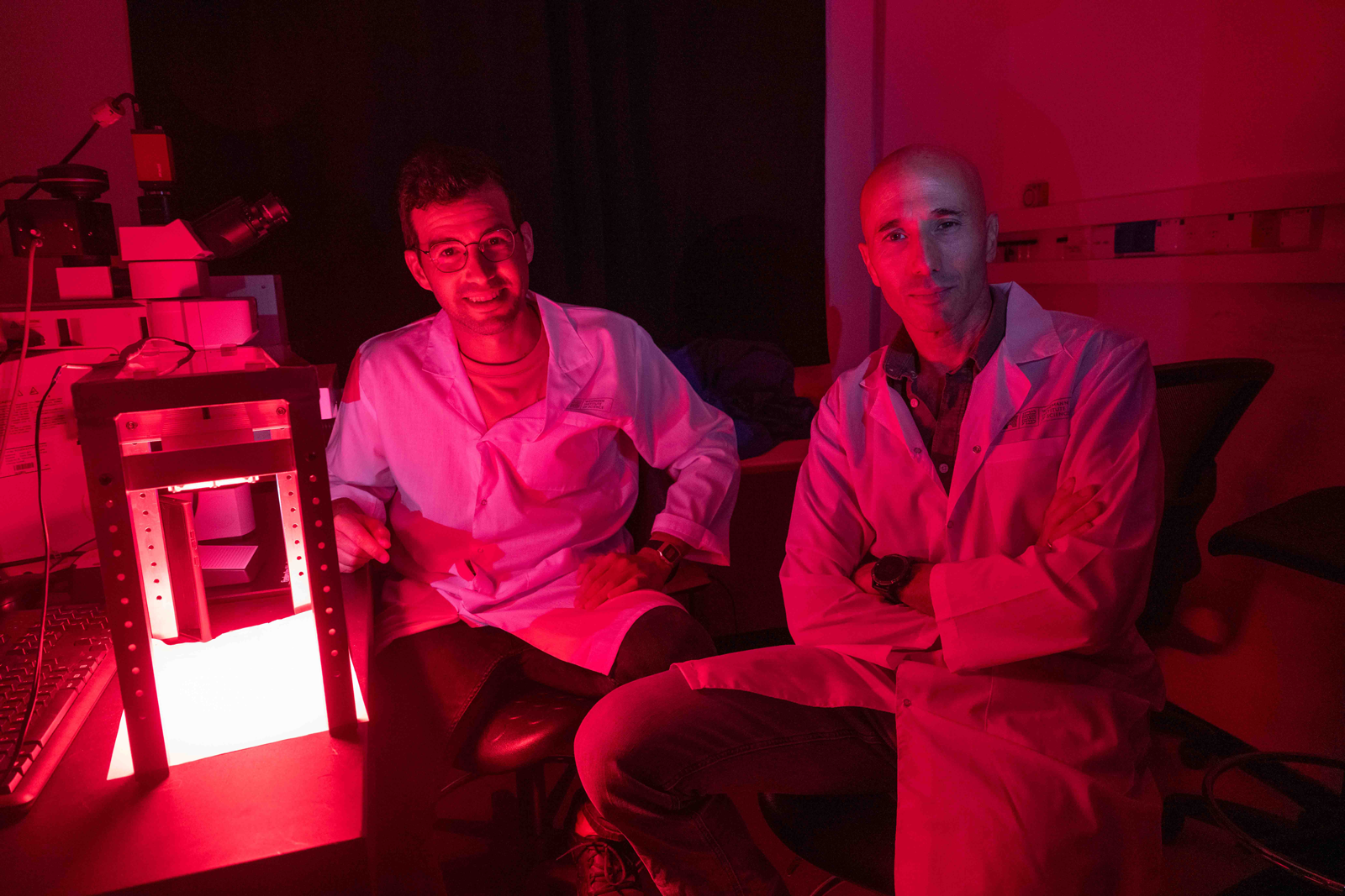 9.17.25 Shining A Light On The Developing Brain How Parental Separation Shapes Us Weizmann Institute Of Science 1