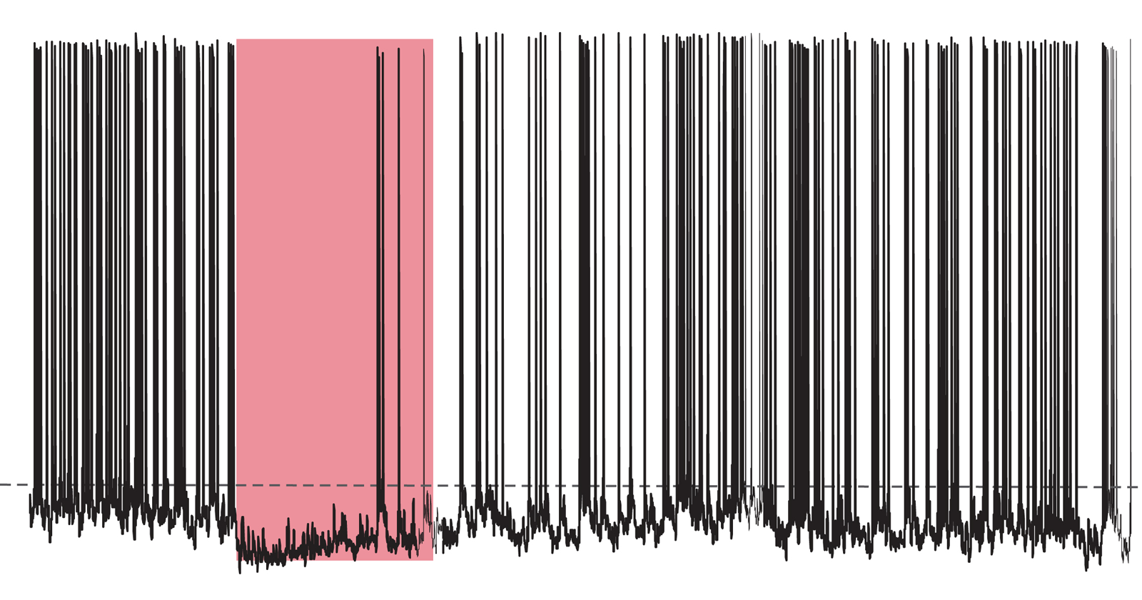 9.17.25 Shining A Light On The Developing Brain How Parental Separation Shapes Us Weizmann Institute Of Science 3