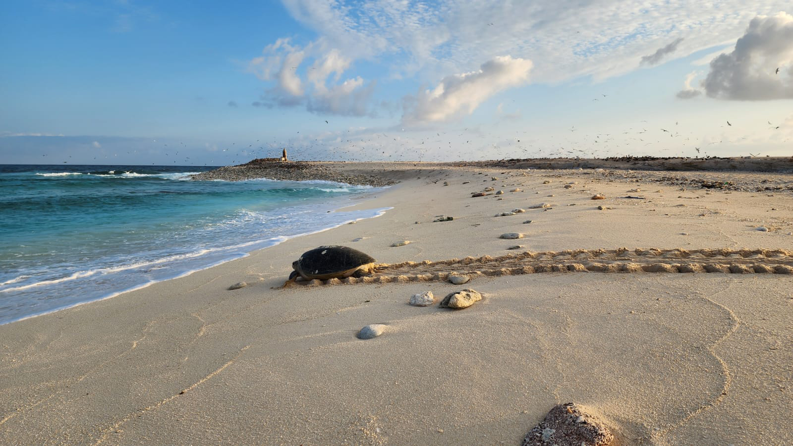 Out Of The Lab And Into Nature 2D