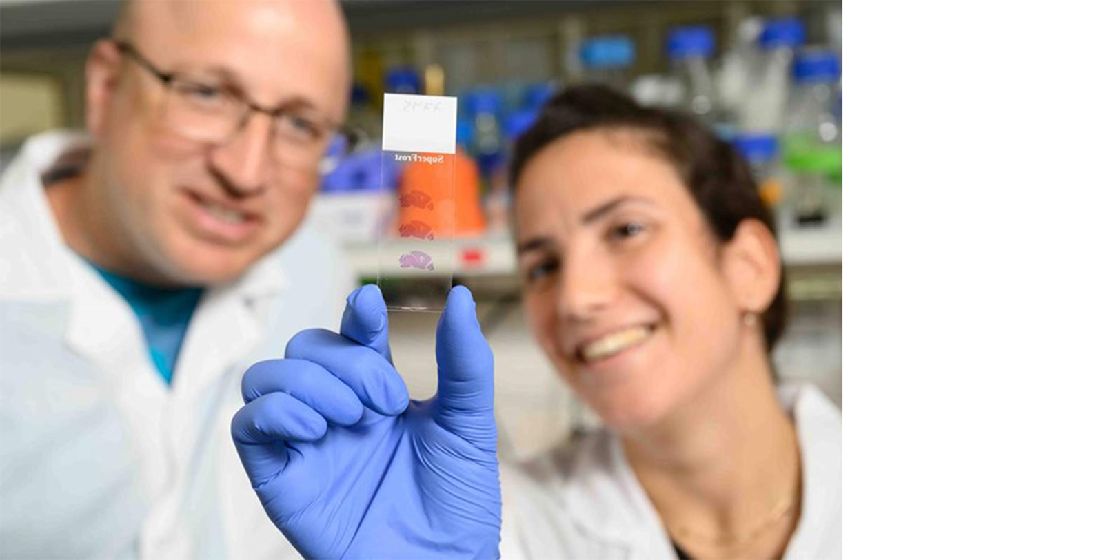 Looking Back On 2025 3