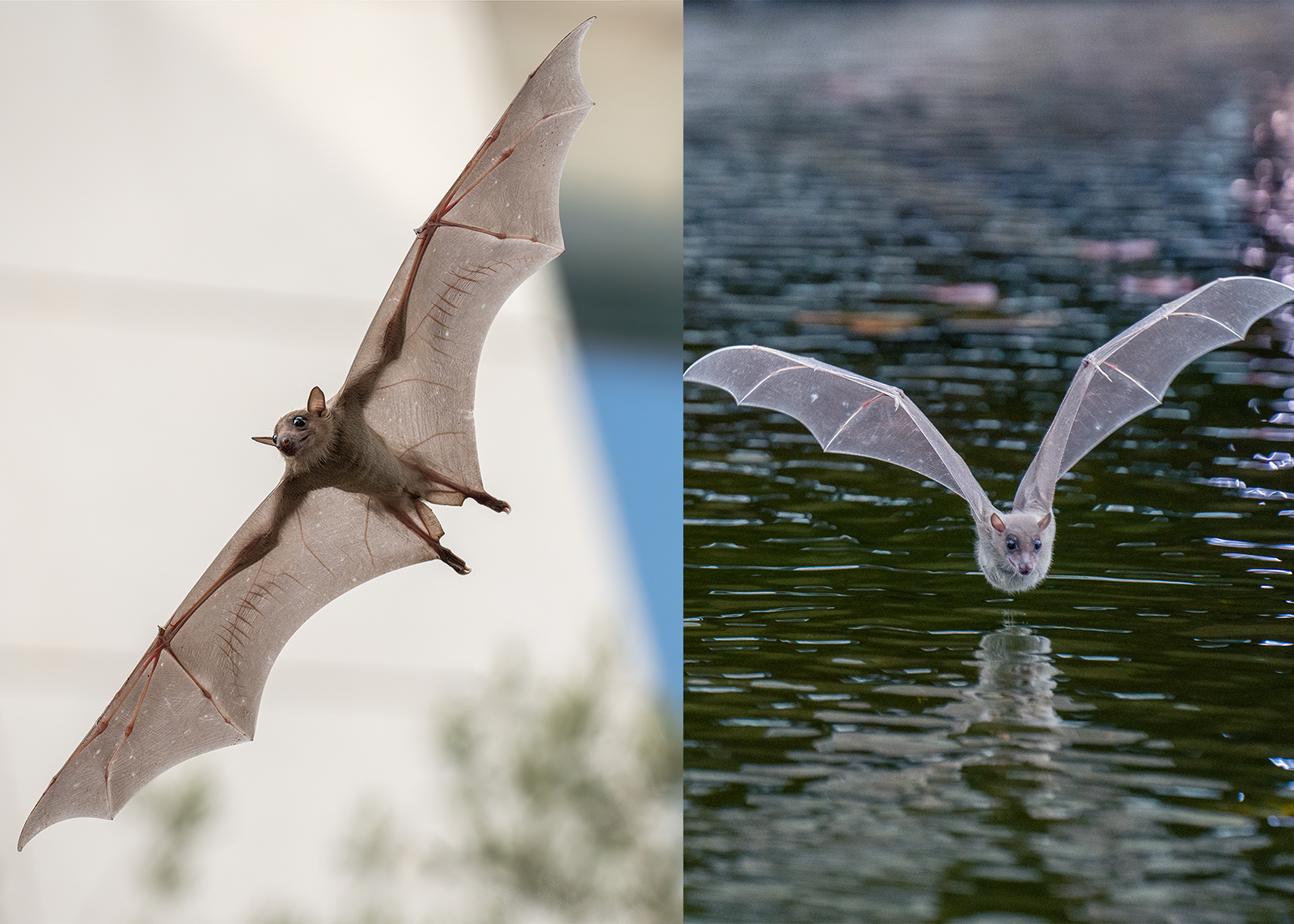 Out Of The Lab And Into Nature 3