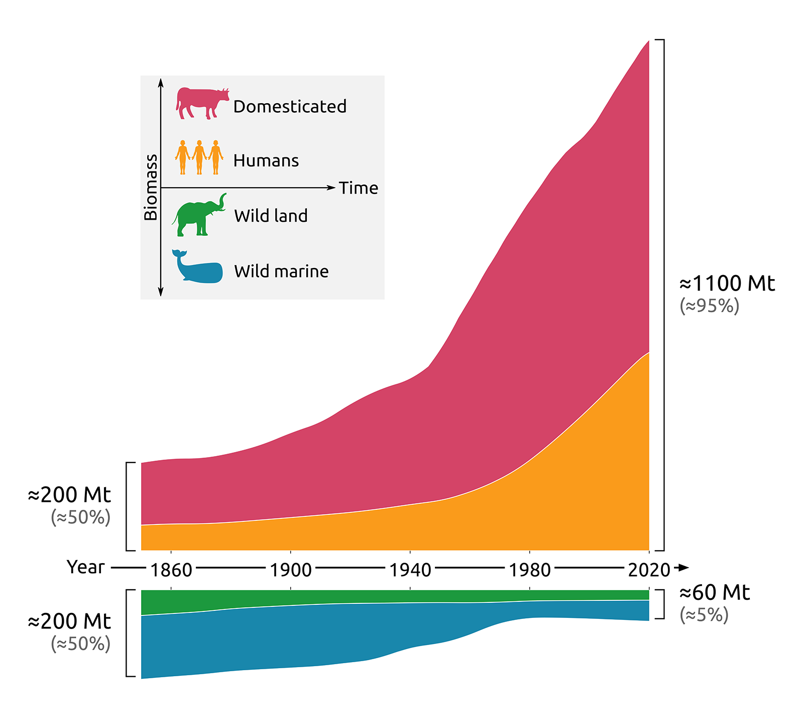 Humanity Rises As Wildlife Recedes 6