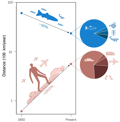Humanity Rises As Wildlife Recedes 5