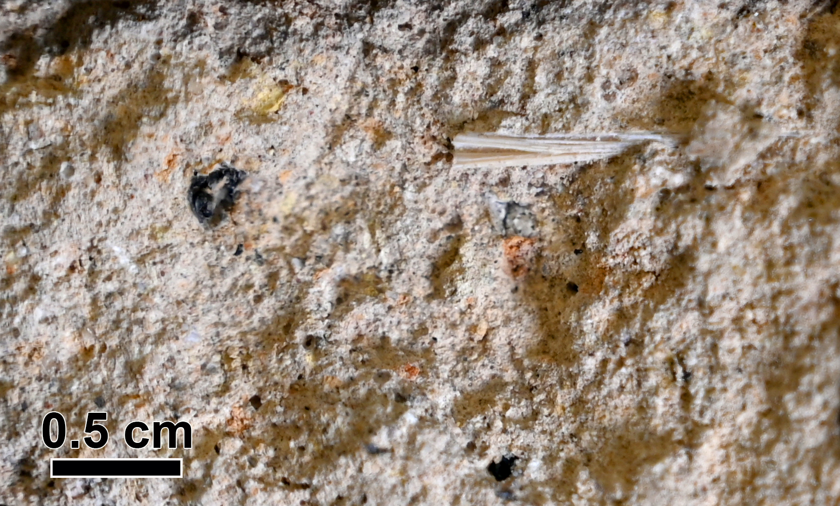 Weizmann Archaeology 2